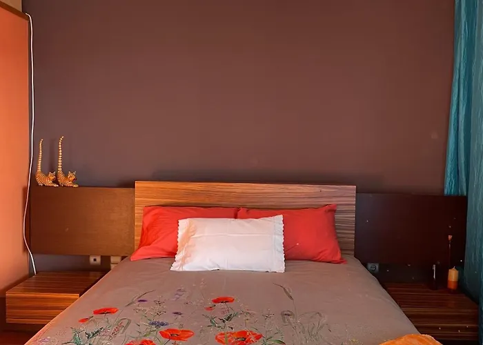 Apartment Luxurious And Spacious Ensuite And Lounge With Ping Pong Table - Perfect To Rest Near The *